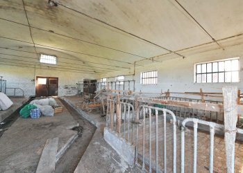 interno stalla - Farmhouse via cascina bianca, 9, hamlet Crocera, Barge - photo 7