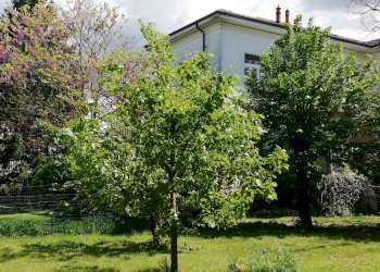 Villa Storica SP95, 17, Tortona - foto 17