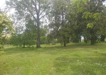 Villa Storica SP95, 17, Tortona - foto 9