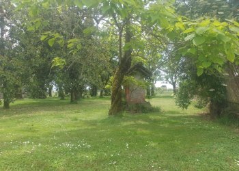 Villa Storica SP95, 17, Tortona - foto 10