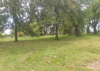 Villa Storica SP95, 17, Tortona - foto 13