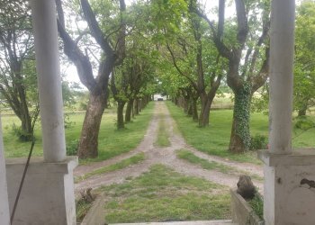 Villa Storica SP95, 17, Tortona - foto 12