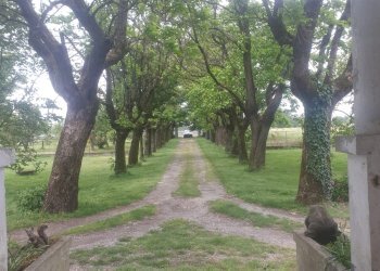 Villa Storica SP95, 17, Tortona - foto 26