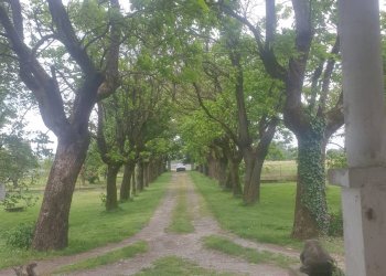 Villa Storica SP95, 17, Tortona - foto 27