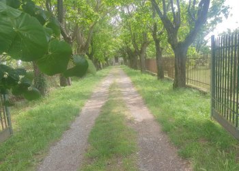 Villa Storica SP95, 17, Tortona - foto 23