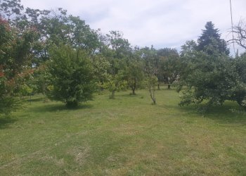 Villa Storica SP95, 17, Tortona - foto 22