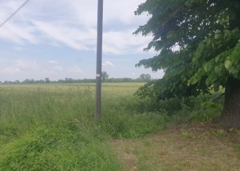 Villa Storica SP95, 17, Tortona - foto 21