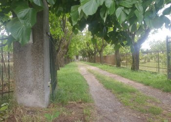 Villa Storica SP95, 17, Tortona - foto 19