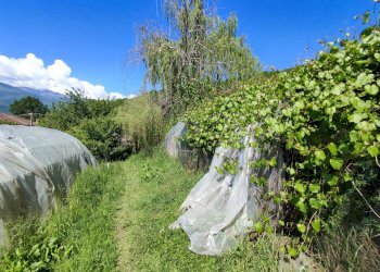 Casa indipendente Via Momborgo, 19, Rifreddo - foto 34