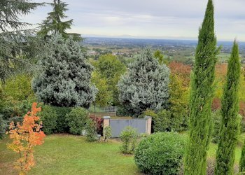 Villa Albinea - foto 9