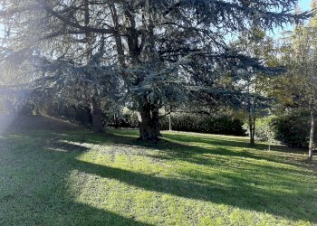 Villa Albinea - foto 11