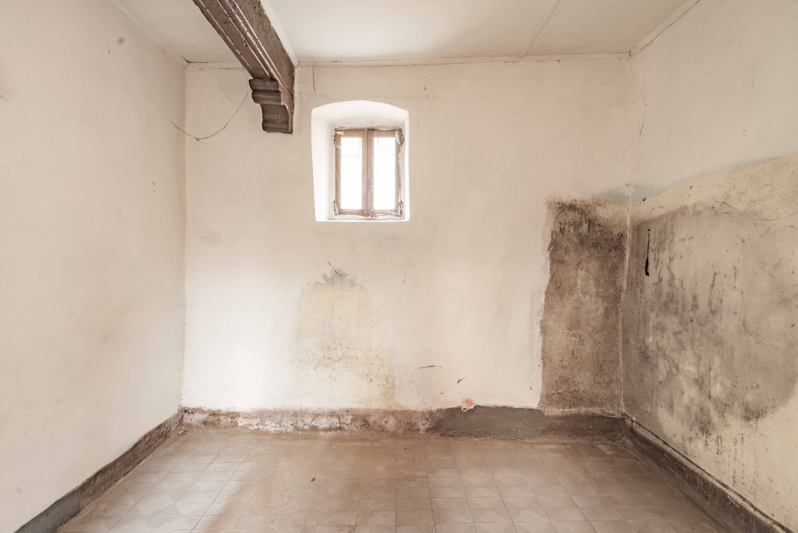 Villa a Schiera Via Angelo Brofferio, Caraglio - foto 3