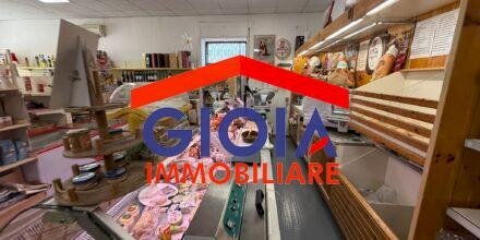 Macelleria - Salumeria Mondragone - foto 1