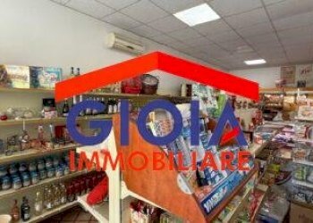 Macelleria - Salumeria Mondragone - foto 6