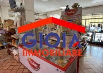 Macelleria - Salumeria Mondragone - foto 7