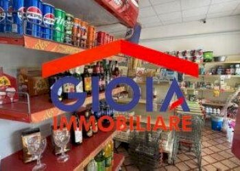 Macelleria - Salumeria Mondragone - foto 12