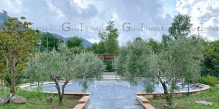 Attività Commerciale Roccaromana - foto 3