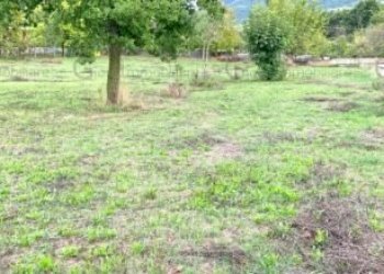 Attività Commerciale Roccaromana - foto 33