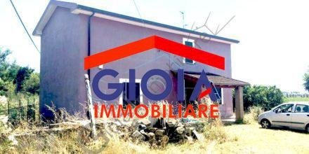 Casa Colonica Cellole - foto 3