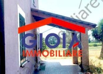 Casa Colonica Cellole - foto 2