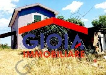 Casa Colonica Cellole - foto 5