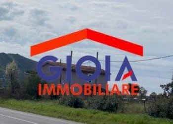 Casa Colonica Cellole - foto 6