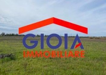 Casa Colonica Cellole - foto 11