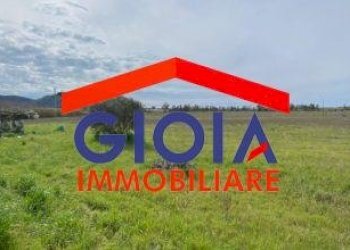 Casa Colonica Cellole - foto 12