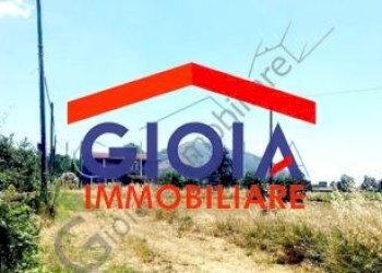 Casa Colonica Cellole - foto 23