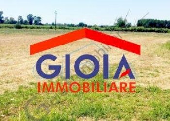 Casa Colonica Cellole - foto 24