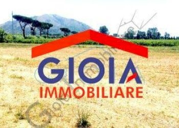 Casa Colonica Cellole - foto 26