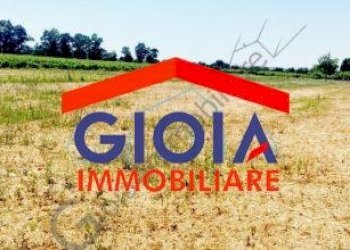 Casa Colonica Cellole - foto 28