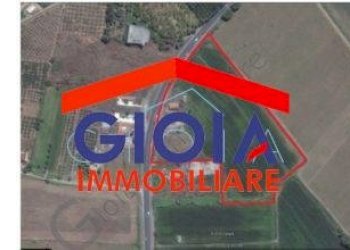 Casa Colonica Cellole - foto 29