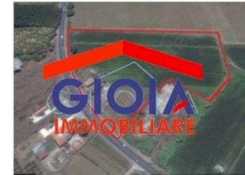 Casa Colonica Cellole - foto 30