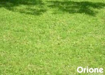 Terreno edificabile Castelnuovo - foto 1