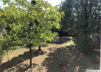 Terreno edificabile Castelvetro di Modena - foto 4