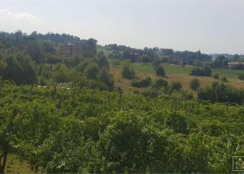 Terreno edificabile Castelvetro di Modena - foto 6