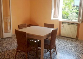 Terreno edificabile Castelvetro di Modena - foto 12