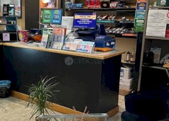 Tobacco shop La Spezia - photo 4