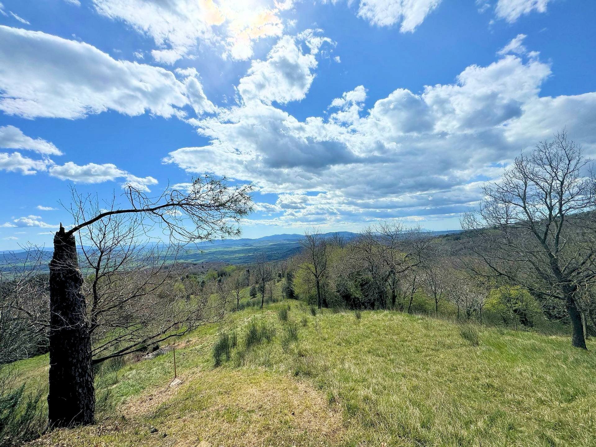 Foto 3 - Rustic Strada Provinciale Meleta, Roccastrada - photo 3