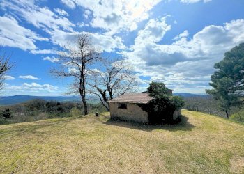 Foto 1 - Rustico Roccastrada - foto 1