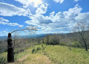 Foto 3 - Rustico Roccastrada - foto 3