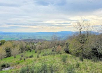 Foto 5 - Rustico Roccastrada - foto 5