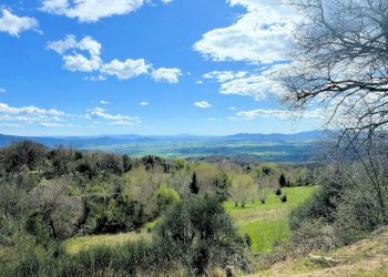 Foto 10 - Rustico Roccastrada - foto 10