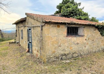 Foto 16 - Rustico Roccastrada - foto 16