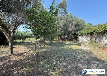 Foto 27 - Quadrilocale Via Vignasse, Loano - foto 27