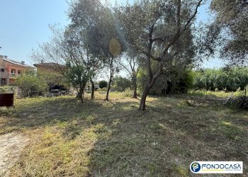 Foto 30 - Quadrilocale Via Vignasse, Loano - foto 30