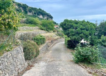 Foto 50 - Casa indipendente Via alle Ville Superiore, Ventimiglia - foto 50