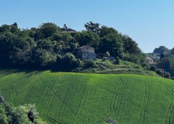 Foto 12 - Independent house Contrada Montone
 
39, Montegiorgio - photo 12