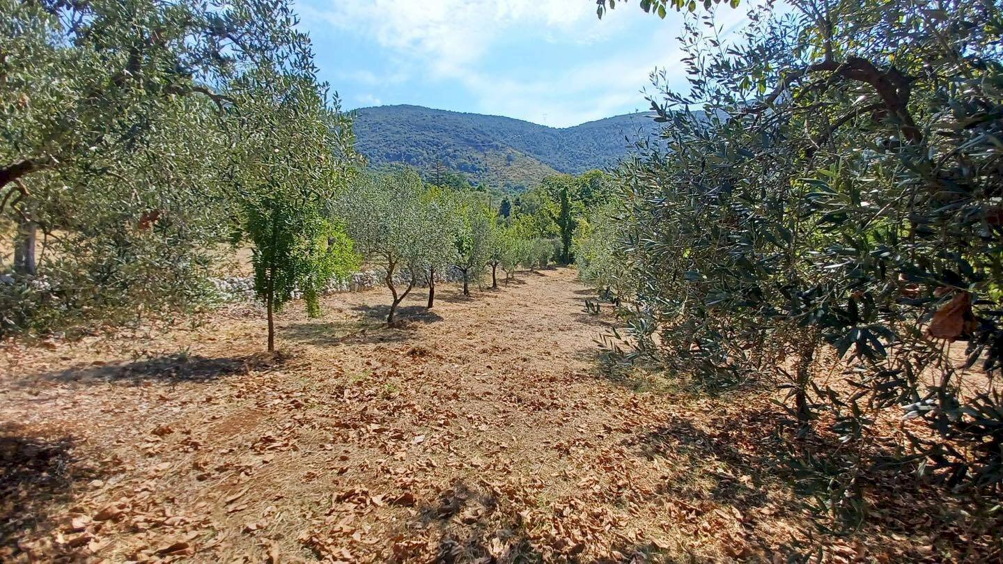 Foto 3 - Terreno agricolo via piccaro
 
snc, Maenza - foto 3